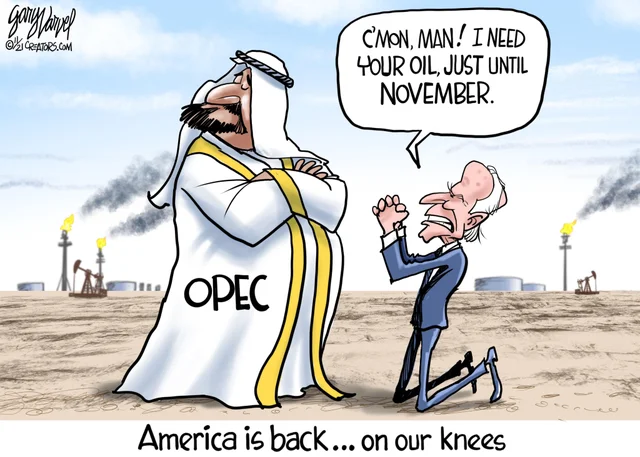 OPEC & Biden - Just until November Oil request picture on macrotraders.ro