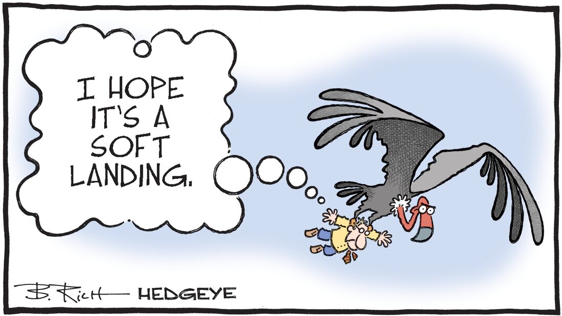 Hedgeye Bob Rich Cartoon of the Day - Bird-Brained - Friday 14.04.2023 Picture
