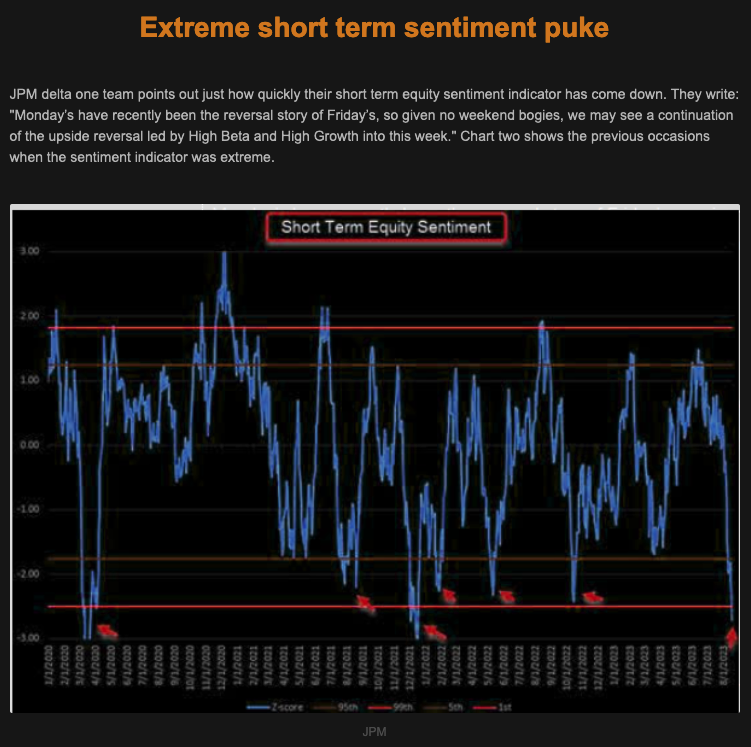 TheMarketEar - Macro Traders Romania Blog - Extreme Short Sentiment - 22.08.2023 Picture