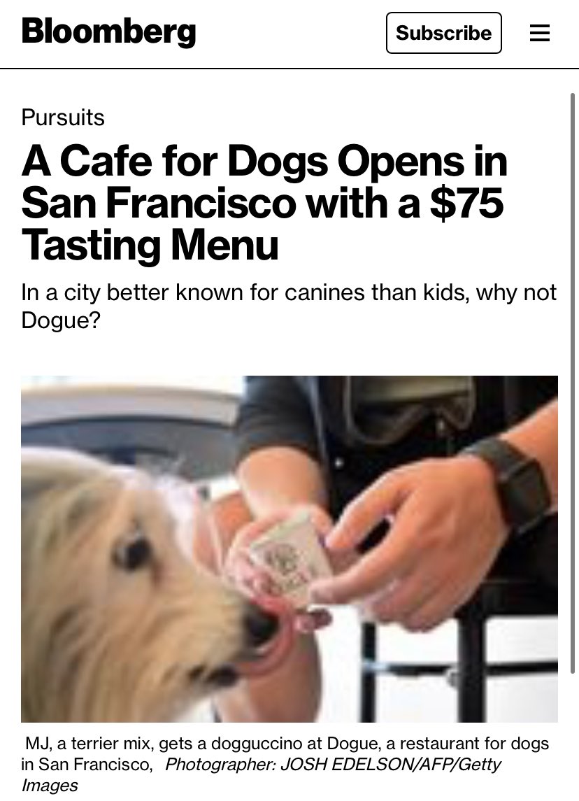 A cafe for dogs opens in San Francisco by Bloomberg on Macro Traders 07.10.2022