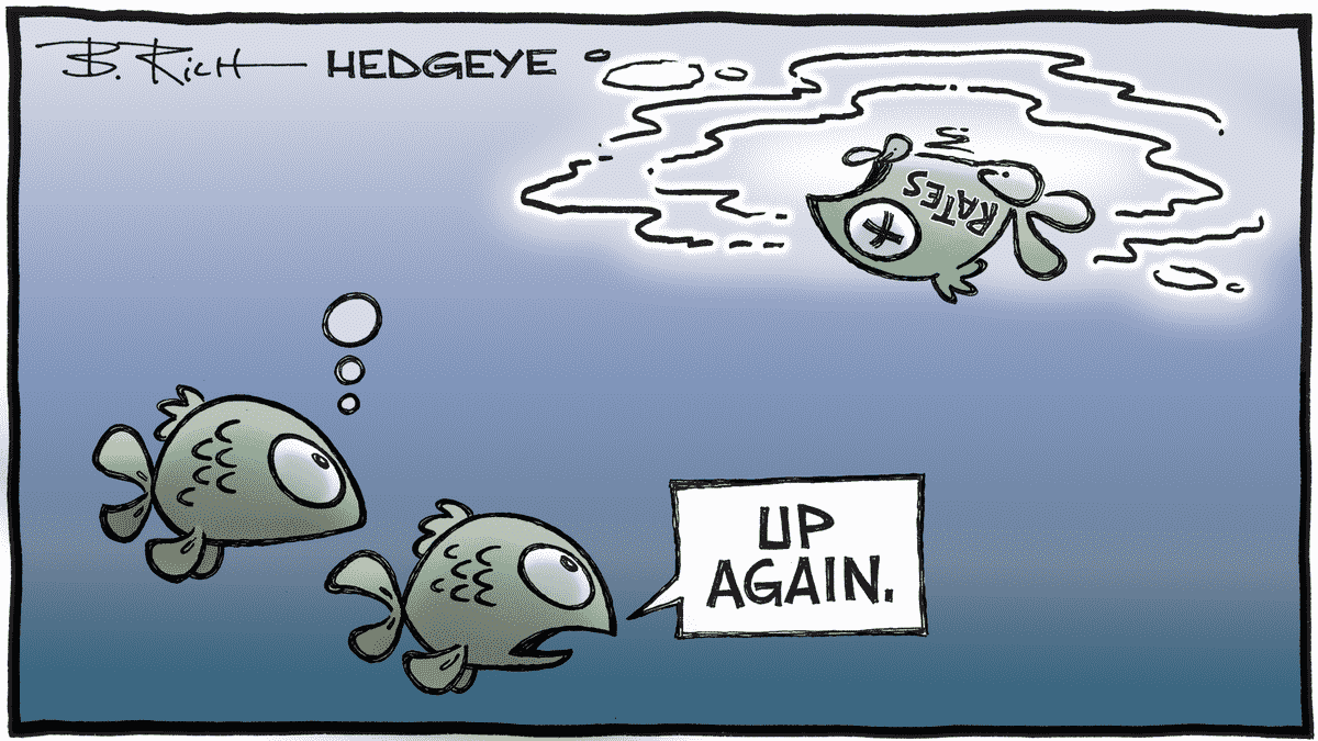 Cartoon of the day Bloated Fish by Hedgeye on 26.10.2022 Picture