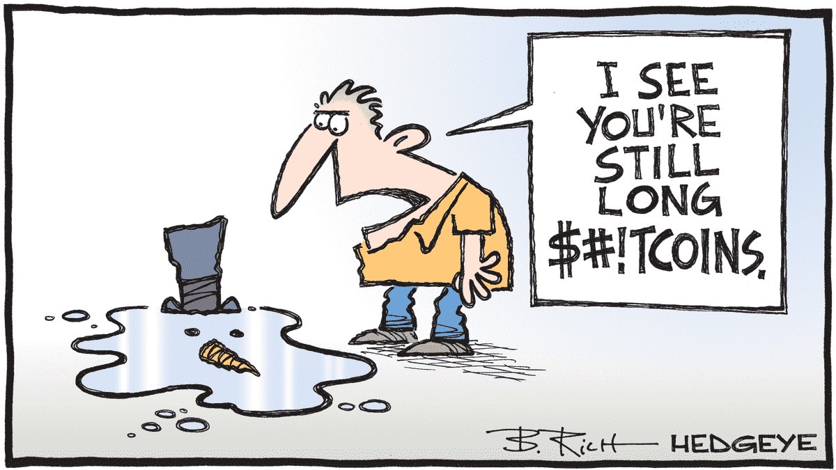 Hedgeye Cartoon of the dat Shitcoins 14 November 2022 Picture