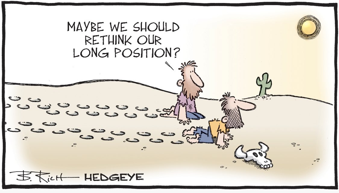Hedgeye Bob rich long position Picture