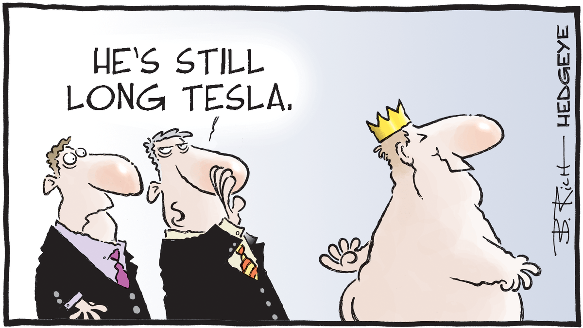 Hedgeye Cartoon of the Day LONG TESLA Picture