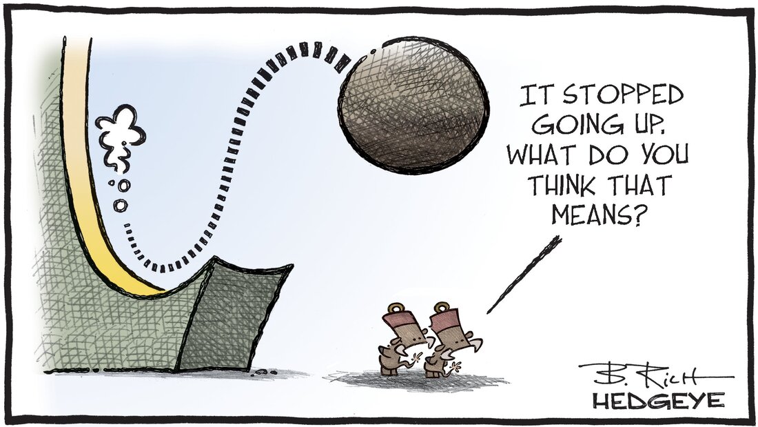 Hegdeye - Macro Traders Blog Romania - Cartoon of the Day - What Goes Up... - Thursday 31.08.2023 Picture