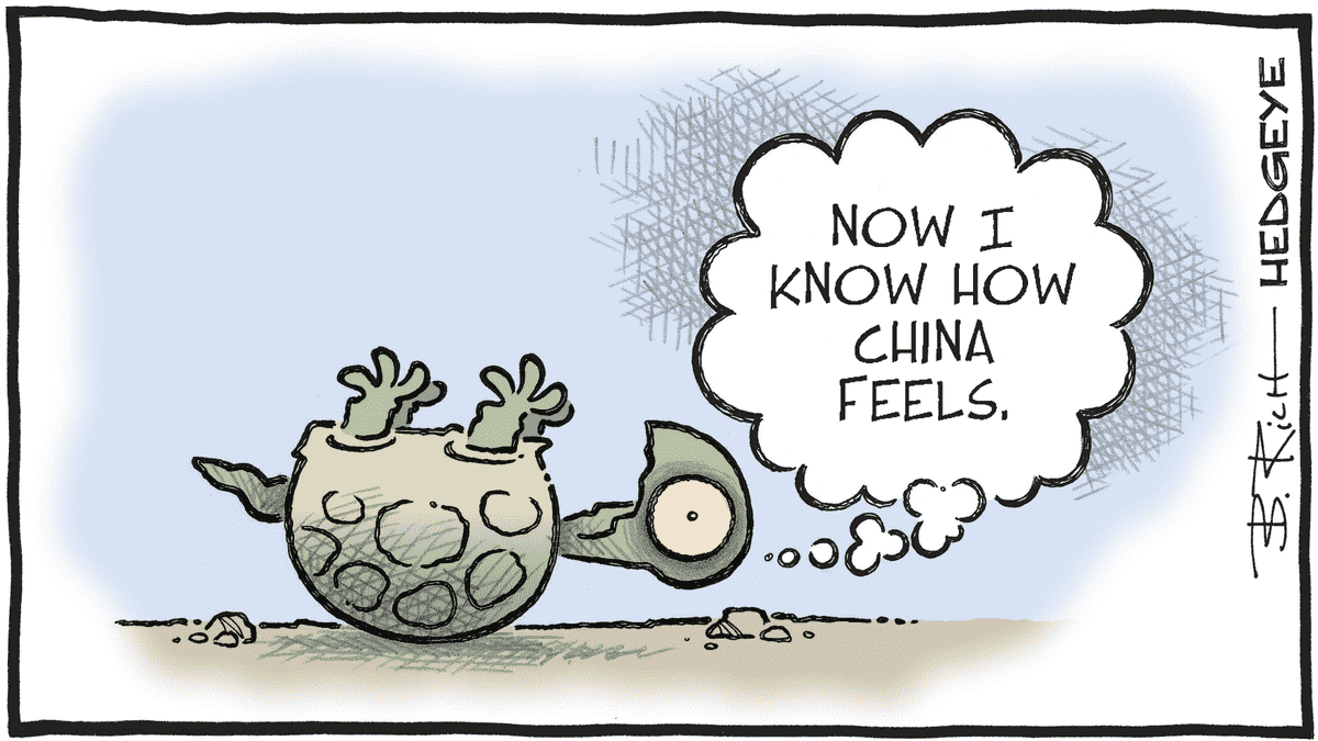 MacroTraders.ro - Hedgeye - Cartoon of the Day - I Like Turtles - Friday 09.02.2024 Picture