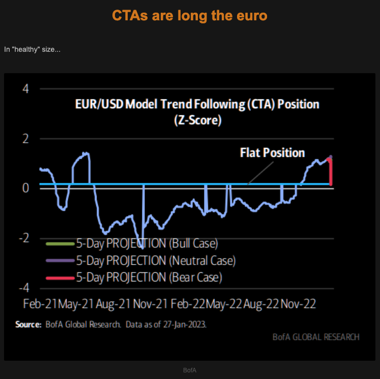 TME CTA's are long the EURO Picture